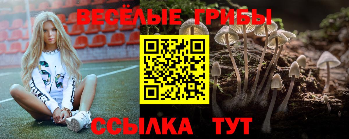 закладка  Галлюциногенные грибы Cubensis  Вход с VPN  Псилоцибиновые грибы Cubensis  Уссурийск 