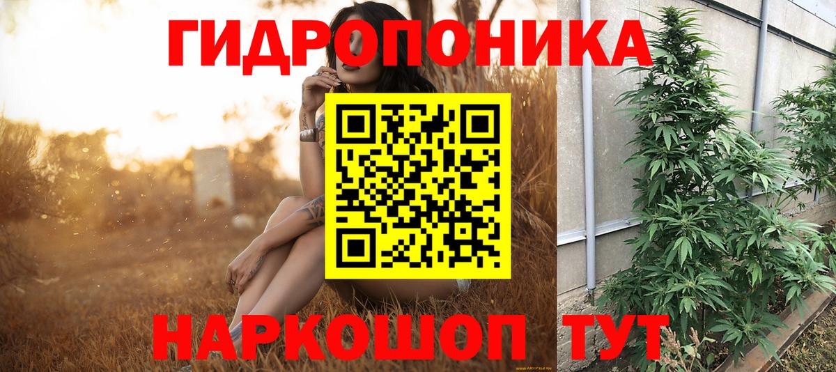 Бошки марихуана OG Kush Уссурийск